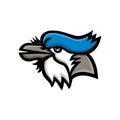 Mascot icon illustration of head of a blue jay Cyanocitta cristata, a passerine bird in the family Corvidae, native to North Royalty Free Stock Photo