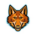 Coyote Head Front Mascot Royalty Free Stock Photo