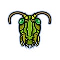 Grasshopper Head Mascot Royalty Free Stock Photo