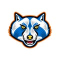 North American Raccoon Mascot