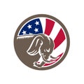 Republican Elephant Mascot USA Flag Royalty Free Stock Photo