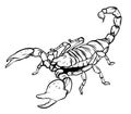 Mascot icon illustration of a scorpion, a predatory arachnid of the order Scorpiones