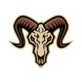 Bighorn Sheep Skull Mascot