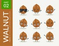 Mascot images of the Walnut. Second set. Vector Illustration