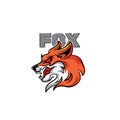 Fox Logo Design, Mascot Logo Design Template for Sports Teams