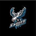 Flying Eagle Logo Design, Mascot Logo Design Template for Sports Teams