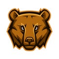 Mascot stylized bear head.