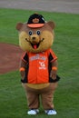 Mascotte of the Super 6 tournament in the Netherlands