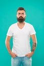 Masculine and brave. Beard fashion and barber concept. Man bearded hipster stylish beard turquoise background. Barber