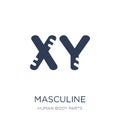 Masculine Chromosomes icon. Trendy flat vector Masculine Chromosomes icon on white background from Human Body Parts collection