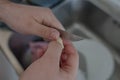 Hands peeling a garlic clove Royalty Free Stock Photo