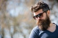 Masculinity concept. Macho with beard and mustache look confident brutal in sunglasses. Bearded guy strict face. Man Royalty Free Stock Photo