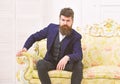 Masculinity concept. Man with beard and mustache wearing classic suit, stylish fashionable outfit. Macho attractive and Royalty Free Stock Photo