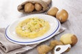 Mashed potatoes background. Royalty Free Stock Photo