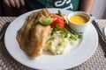 Mashed potatoes and fried fish with vegetables and sauce Royalty Free Stock Photo