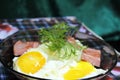 Mashed potatoes with fried sausage and fried egg in a plate Royalty Free Stock Photo