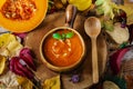 Mashed pumpkin soup Royalty Free Stock Photo
