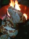 Mashmallows by the camp fire