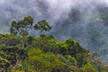 Mashpi Ecological Reserve, Ecuador, Highlands,