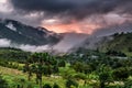 Mashpi Ecological Reserve, Ecuador, Highlands,