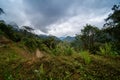 Mashpi Ecological Reserve, Ecuador, Highlands,