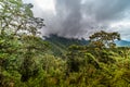 Mashpi Ecological Reserve, Ecuador, Highlands,