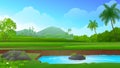 Rice field Terraces with fish pond, mountain and blue sky vector illustration Royalty Free Stock Photo