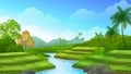 Paddy rice field terrace with a clean river flowing in the middle, beautiful rural farming landscape Royalty Free Stock Photo