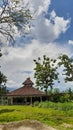 Masjid awan pohon sky cerah siang