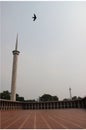 Masjid Istiqlal Istiqlal Mosque, Jakarta, Indonesia - Mosque Tower, Bird