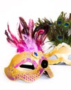 Mask Royalty Free Stock Photo
