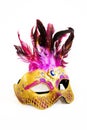 Mask Royalty Free Stock Photo