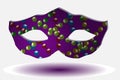 Mask in the traditional colors of Mardi Gras Royalty Free Stock Photo