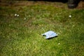 Mask being let on the ground as trash, litter and rubbish. Royalty Free Stock Photo