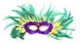 Mask of colorful feathers and sequins