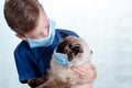 Mask coronavirus covid 19 flu, cat disease