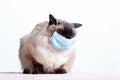 Mask coronavirus covid 19 flu,  danger Royalty Free Stock Photo