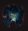 Mask depicting the face of a girl in a mask with feathers instead of hair in colored lighting Royalty Free Stock Photo