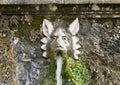 A mask of the Hundred Fountains in the Villa d`Este