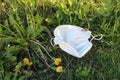 mask on the lawn Royalty Free Stock Photo