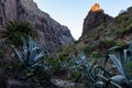 Maska ravine, cliffs, Tenerife. trail in the gorge Maska