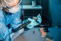 A masked and gloved dental technician works on a prosthetic tooth in his lab Royalty Free Stock Photo