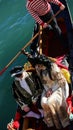 masked honeymoon couple on gondola in venice during carnival Royalty Free Stock Photo