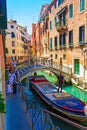 Masked newlyweds couple Venetian canal fascinating view
