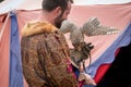 Masked Owl feeds out of trainer`s hand at `Birds of Prey` exhibition at St Ives Medieval Faire