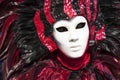 Masked participant in The Carnival of Venice