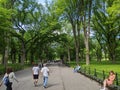 Central Park during Covid time Royalty Free Stock Photo