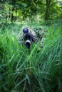 Masked special forces sniper Royalty Free Stock Photo