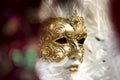 The masks of Venice