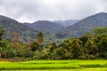 Masoala National Park Royalty Free Stock Photo